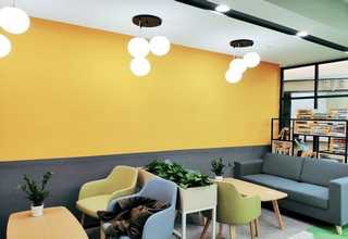 山东火龙果水果瑕疵分级筛选机咨询问价