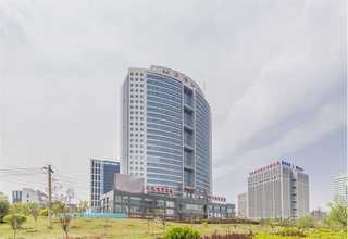 江苏单克隆抗体结构确证服务